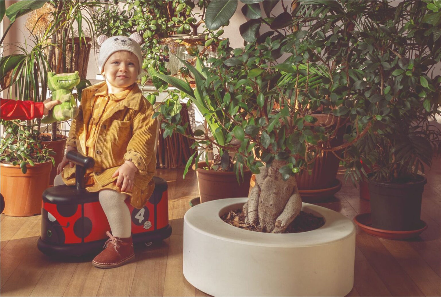 - Manège Lady Bug par :