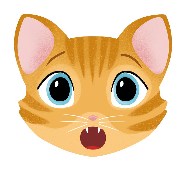 Mémory, Chats et expressions