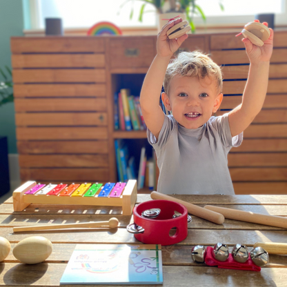 - Set d'instruments de musique 16 pièces par :